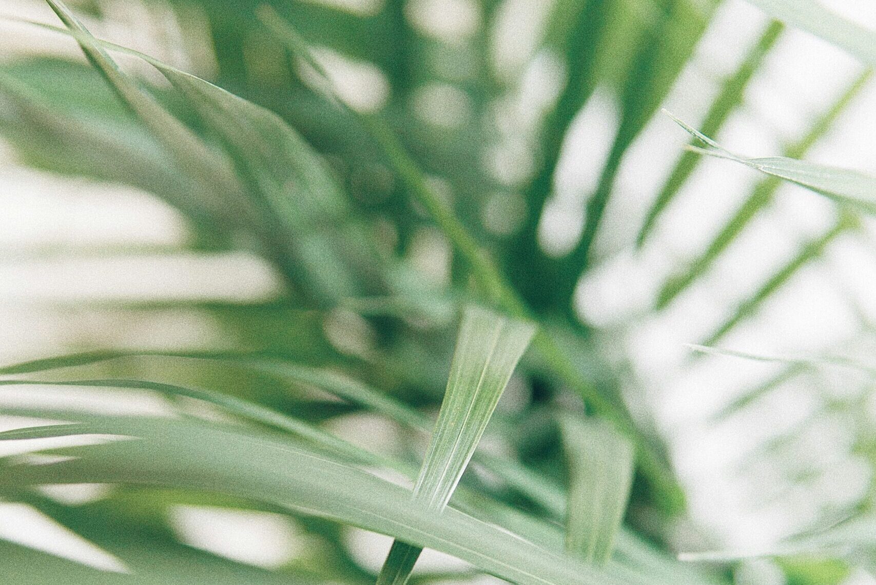 たった一回で変わっていたのがびっくりです